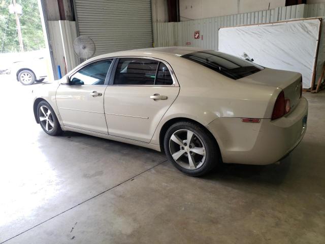 1G1ZC5E05AF253066 - 2010 CHEVROLET MALIBU 1LT GOLD photo 2