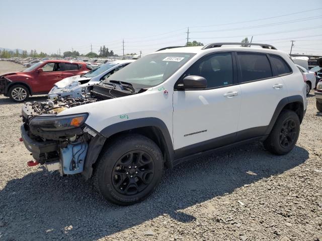 1C4PJMBN3KD173082 - 2019 JEEP CHEROKEE TRAILHAWK WHITE photo 1