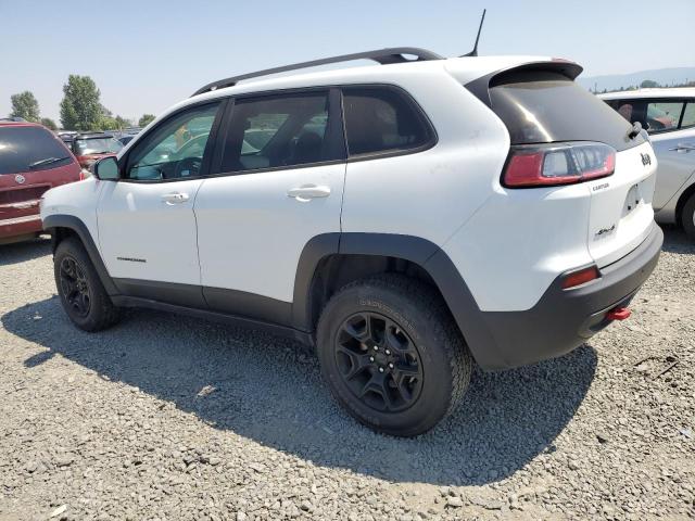 1C4PJMBN3KD173082 - 2019 JEEP CHEROKEE TRAILHAWK WHITE photo 2