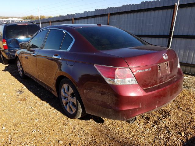 1HGCP36848A039527 - 2008 HONDA ACCORD EXL BURGUNDY photo 3