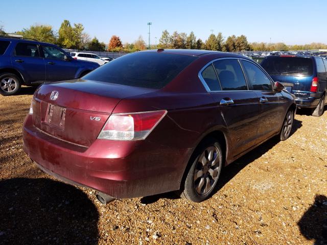 1HGCP36848A039527 - 2008 HONDA ACCORD EXL BURGUNDY photo 4