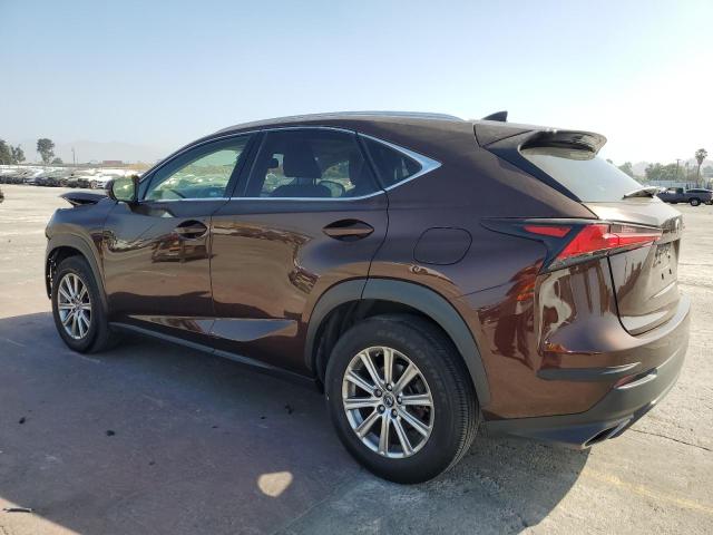 JTJBARBZ6K2185973 - 2019 LEXUS NX 300 BASE ყავისფერი ფოტო 2