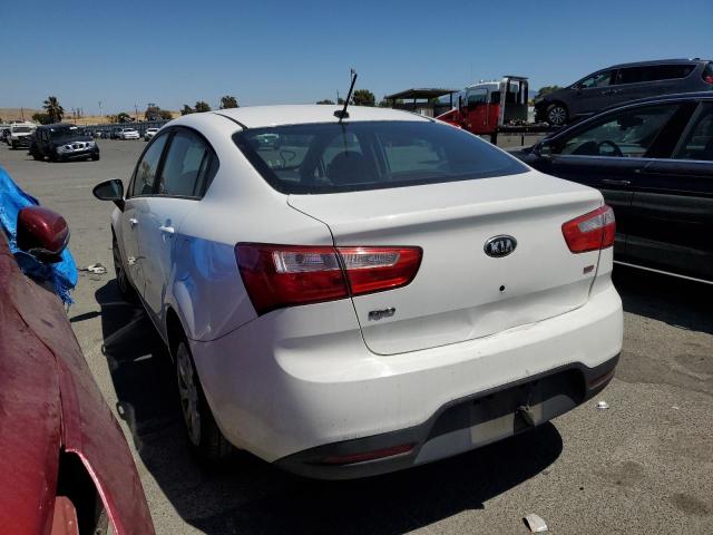 KNADM4A32D6154828 - 2013 KIA RIO LX WHITE photo 2