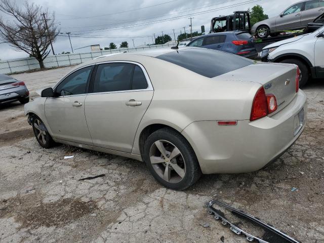 1G1ZC5E17BF155649 - 2011 CHEVROLET MALIBU 1LT 金色 照片 2