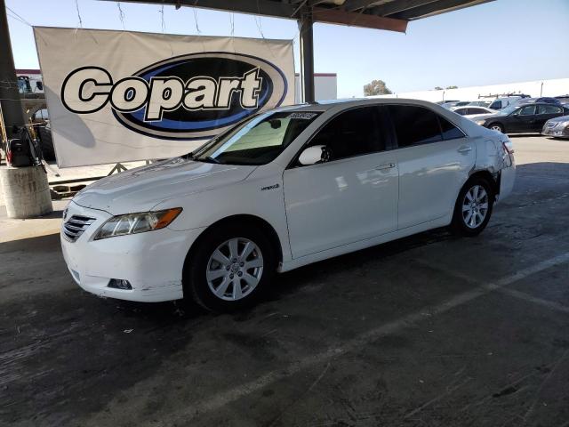 2008 TOYOTA CAMRY HYBRID, null