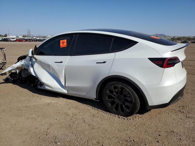 7SAYGDEE0PF698554 - 2023 TESLA MODEL Y WHITE photo 2
