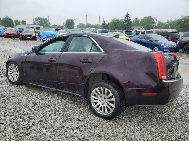 1G6DL5EV2A0135379 - 2010 CADILLAC CTS PERFORMANCE COLLECTION Бордовый фото 2