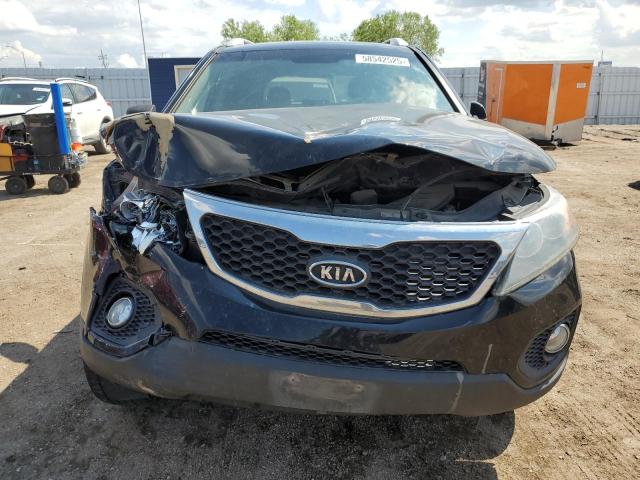 5XYKUDA6XCG245202 - 2012 KIA SORENTO EX შავი ფოტო 5