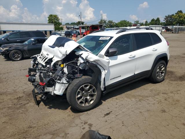 1C4PJMBX7LD647618 - 2020 JEEP CHEROKEE TRAILHAWK WHITE photo 1