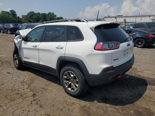 1C4PJMBX7LD647618 - 2020 JEEP CHEROKEE TRAILHAWK WHITE photo 2