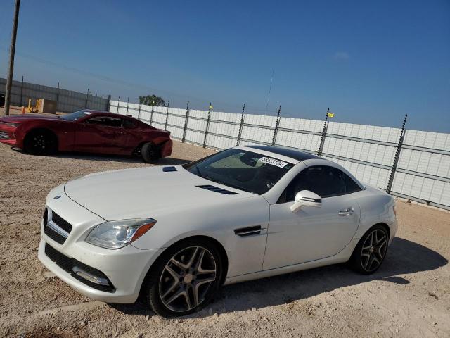 WDDPK4HA6DF065540 - 2013 MERCEDES-BENZ SLK 250 WHITE photo 1