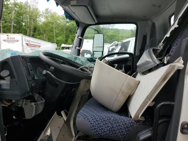 54DC4W1D1PS207805 - 2023 ISUZU NPR HD 白色 照片 7