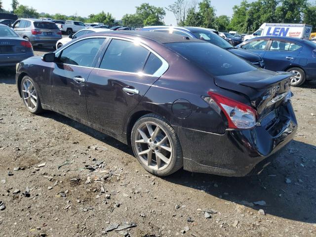 1N4AA5AP7BC852766 - 2011 NISSAN MAXIMA S PURPLE photo 2