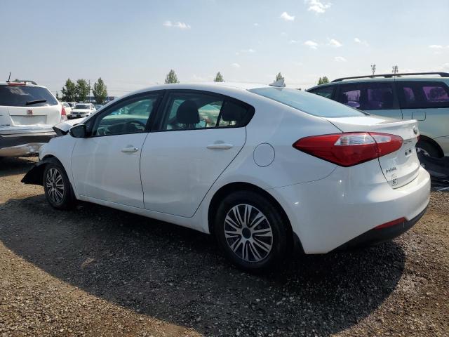 KNAFK4A66G5604919 - 2016 KIA FORTE LX WHITE photo 2