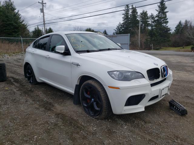 5YMGZ0C59ALK13256 - 2010 BMW X6 M WHITE photo 1