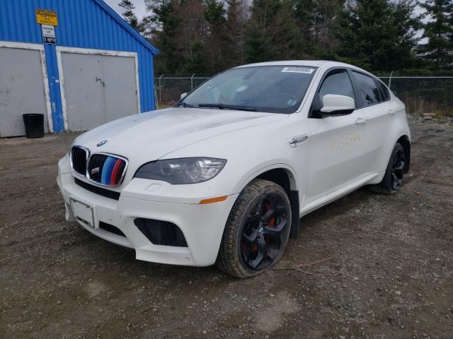 5YMGZ0C59ALK13256 - 2010 BMW X6 M WHITE photo 2