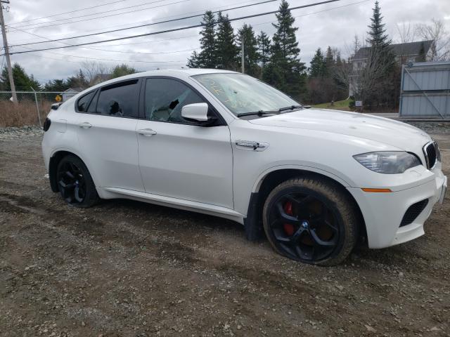 5YMGZ0C59ALK13256 - 2010 BMW X6 M WHITE photo 9
