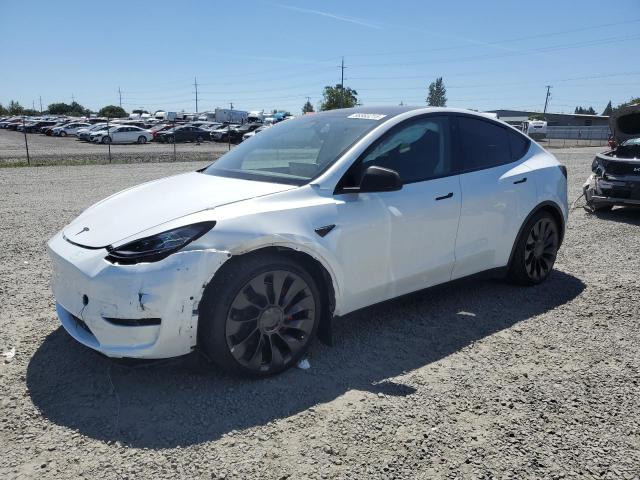 2022 TESLA MODEL Y, null