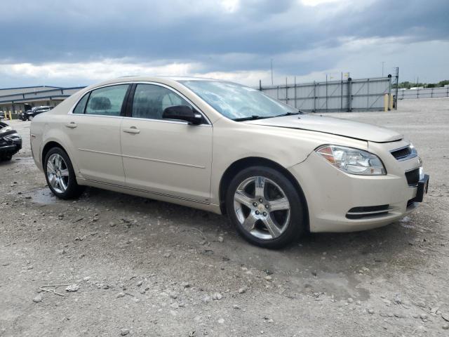1G1ZH57B79F249130 - 2009 CHEVROLET MALIBU 1LT 金色 照片 4