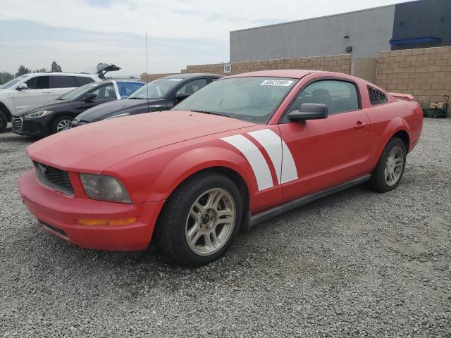 2006 FORD MUSTANG, null