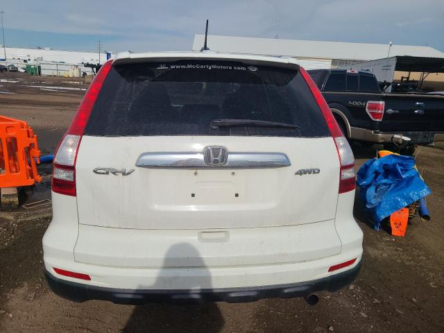 5J6RE4H79AL054148 - 2010 HONDA CR-V EXL WHITE photo 6