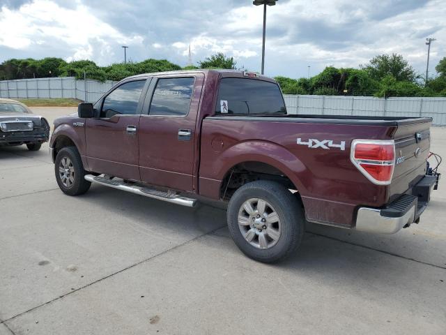 1FTFW1EV4AKA75762 - 2010 FORD F150 SUPERCREW BURGUNDY photo 2