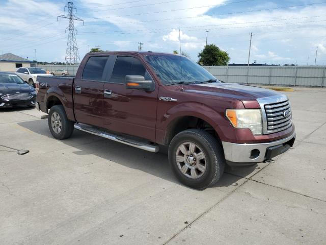 1FTFW1EV4AKA75762 - 2010 FORD F150 SUPERCREW BURGUNDY photo 4