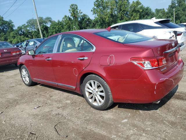 JTHBK1EG6A2384854 - 2010 LEXUS ES 350 RED photo 2