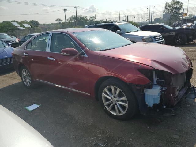 JTHBK1EG6A2384854 - 2010 LEXUS ES 350 RED photo 4