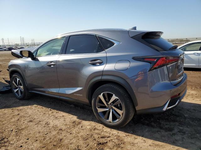 JTJBJRBZ2K2100319 - 2019 LEXUS NX 300H GRAY photo 2