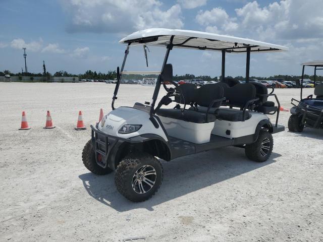 FLA114149 - 2021 OTHER GOLF CART WHITE photo 2