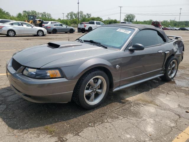 2004 FORD MUSTANG GT, null