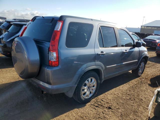 JHLRD78906C057235 - 2006 HONDA CR-V SE GRAY photo 3