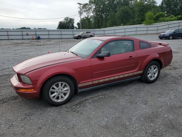 2005 FORD MUSTANG, null