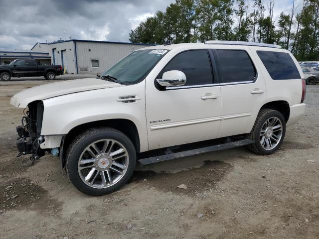 1GYS4CEFXDR244522 - 2013 CADILLAC ESCALADE PREMIUM CREAM photo 1