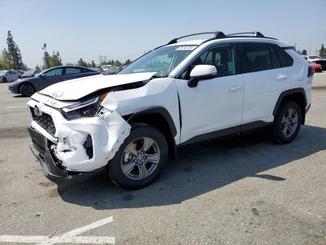 4T3MWRFV7RU130499 - 2024 TOYOTA RAV4 LE WHITE photo 1