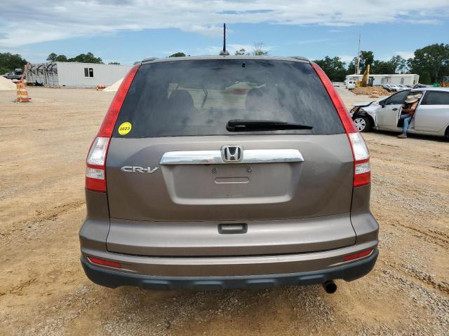 5J6RE3H72AL002726 - 2010 HONDA CR-V EXL BROWN photo 6