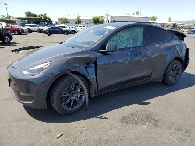 2025 TESLA MODEL Y, null