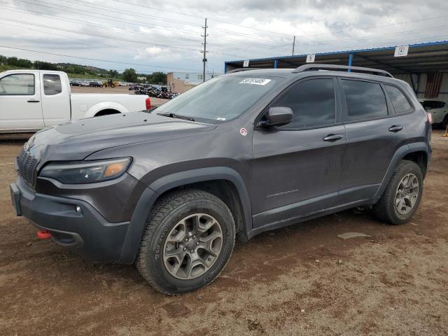 1C4PJMBXXLD500953 - 2020 JEEP CHEROKEE TRAILHAWK GRAY photo 1