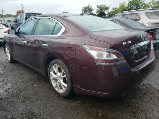 1N4AA5APXEC466086 - 2014 NISSAN MAXIMA S MAROON photo 3