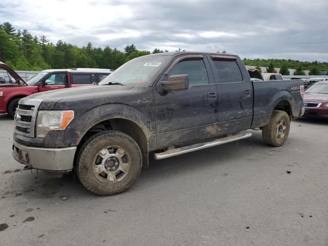 2013 FORD F150 SUPERCREW, null