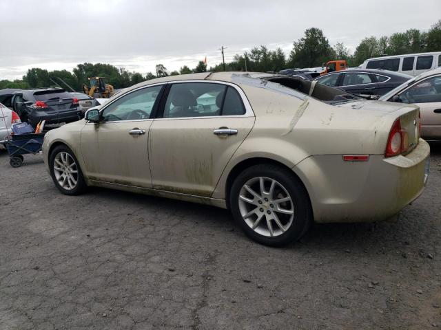 1G1ZE5EU3BF359885 - 2011 CHEVROLET MALIBU LTZ ბეჟი ფოტო 2