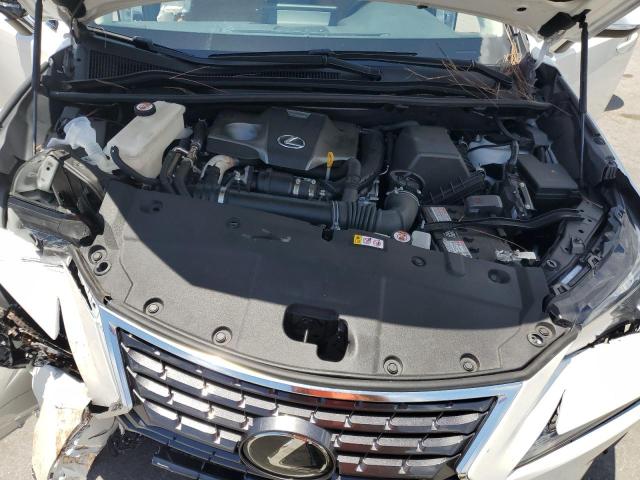 JTJGARBZ0M5024137 - 2021 LEXUS NX 300 BASE თეთრი ფოტო 12