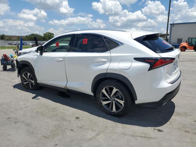 JTJGARBZ0M5024137 - 2021 LEXUS NX 300 BASE თეთრი ფოტო 2