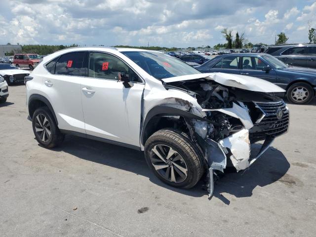 JTJGARBZ0M5024137 - 2021 LEXUS NX 300 BASE თეთრი ფოტო 4