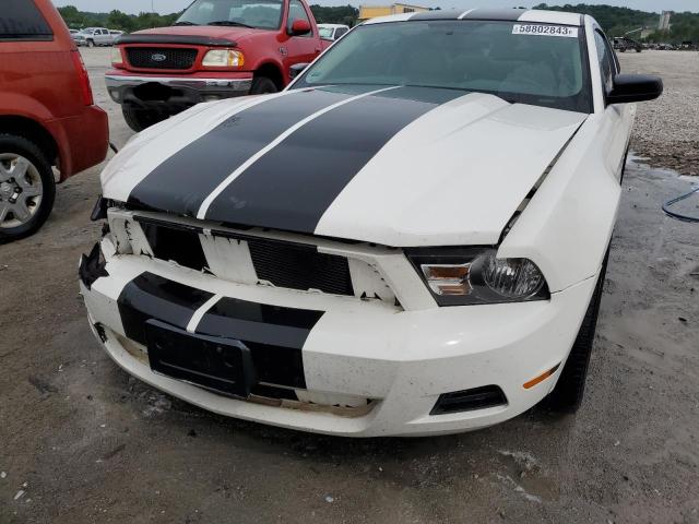 1ZVBP8AN1A5180295 - 2010 FORD MUSTANG WHITE photo 5