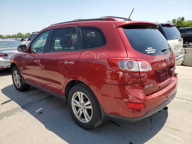 5XYZK4AG1BG039472 - 2011 HYUNDAI SANTA FE LIMITED RED photo 2