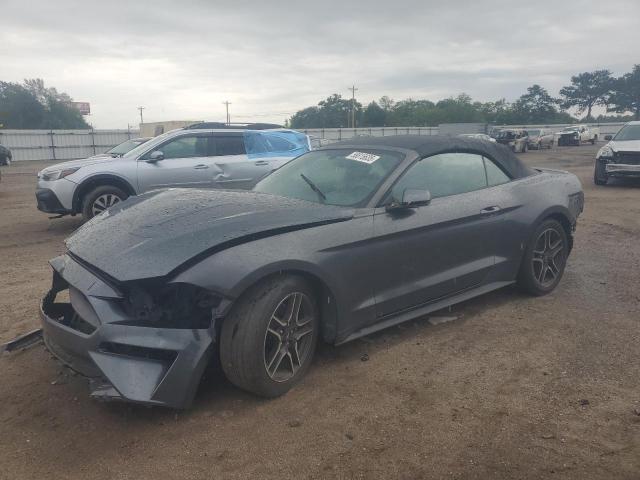 2019 FORD MUSTANG, null
