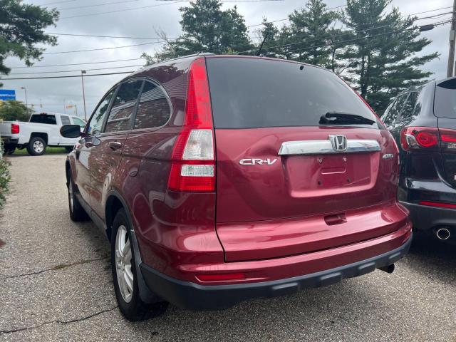 5J6RE4H79AL041304 - 2010 HONDA CR-V EXL RED photo 3