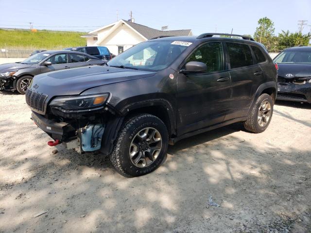 1C4PJMBN5KD123705 - 2019 JEEP CHEROKEE TRAILHAWK GRAY photo 1